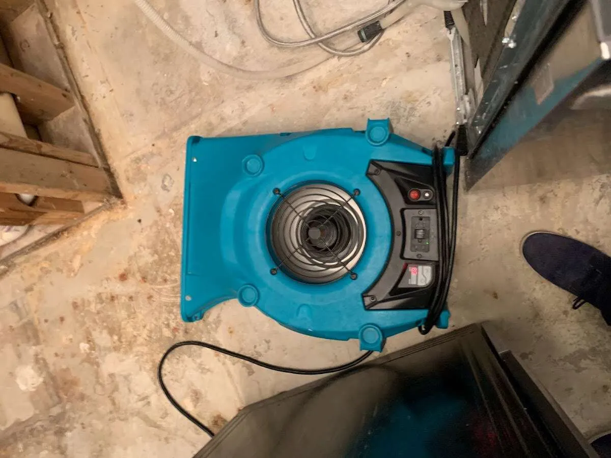 Air mover drying equipment for Mold Remediation & Removal in Maumelle